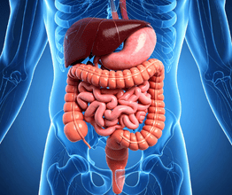 Stomach Treatment