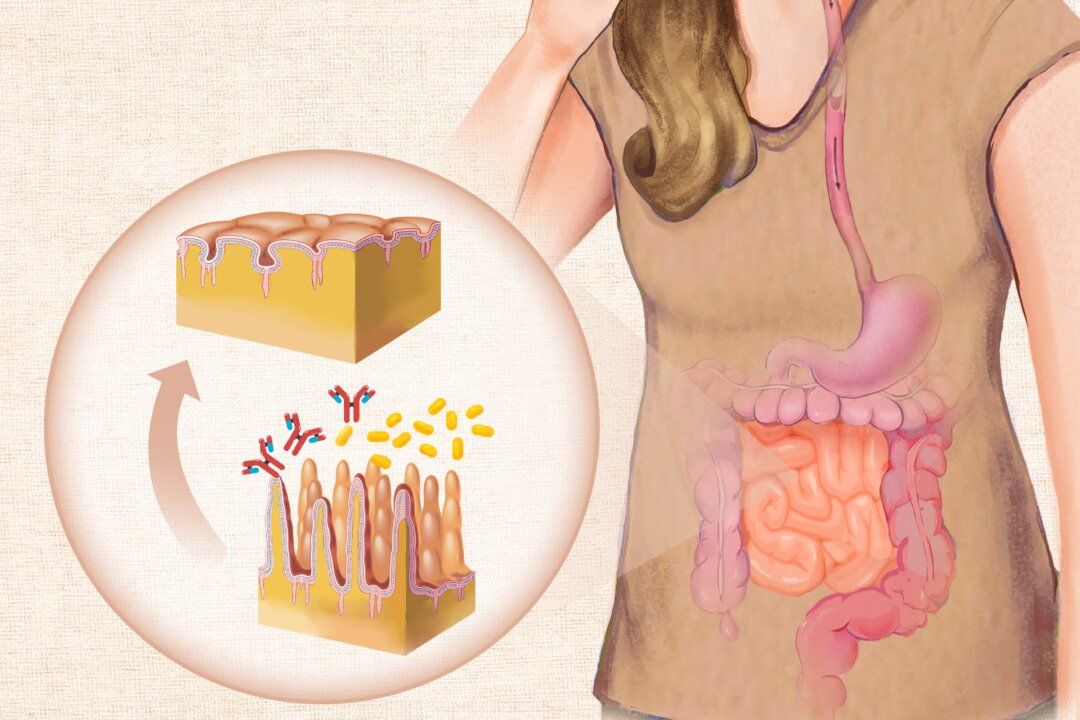 Celiac Disease and Gluten Intolerance Treatment